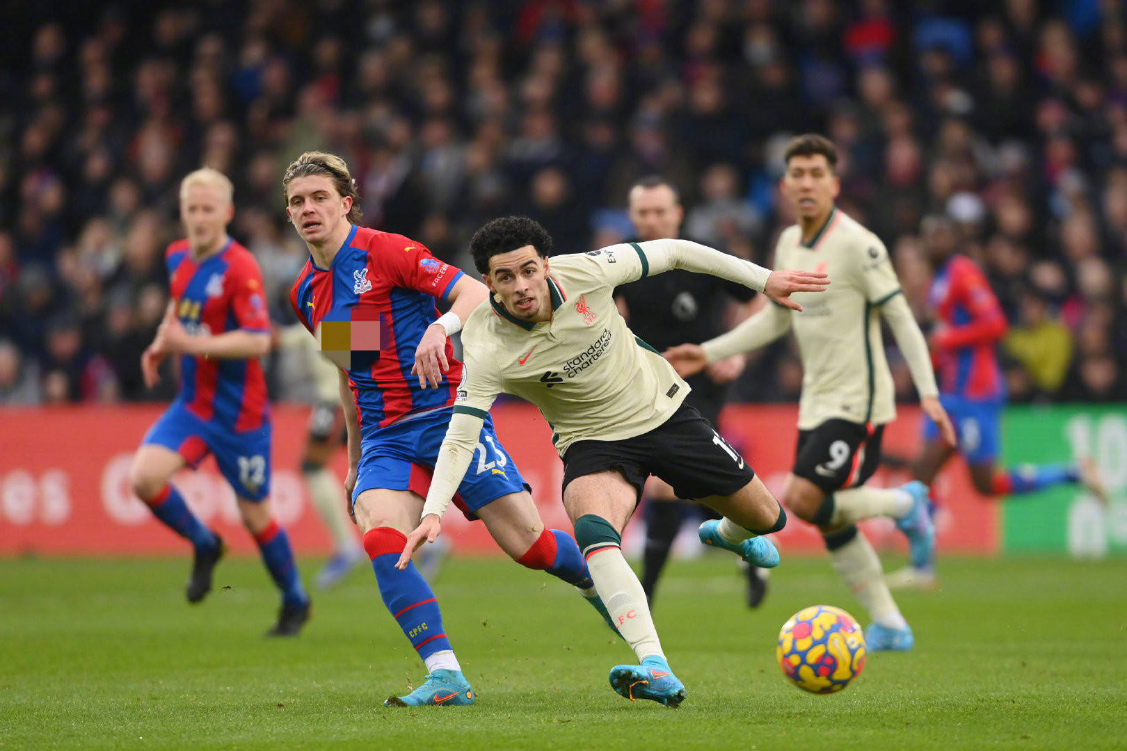 到了淋漓尽 到了淋漓尽